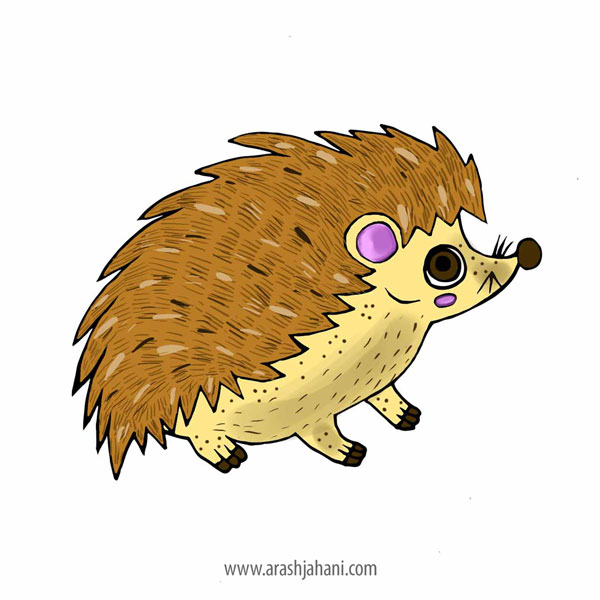 Hedgehog illustration